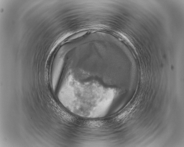 X0000058780835200510211746