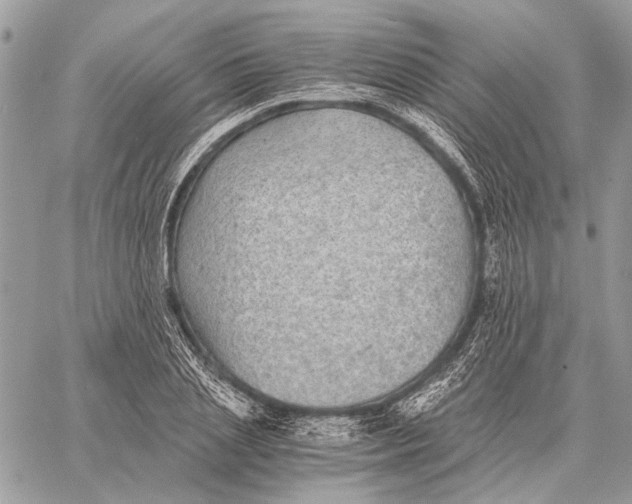 X0000058780837200510211746