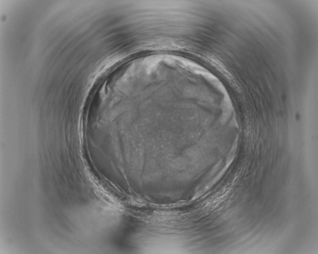 X0000058780840200510211746