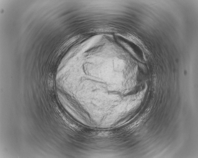 X0000058780841200510211746