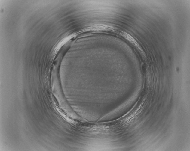 X0000058780842200510211746