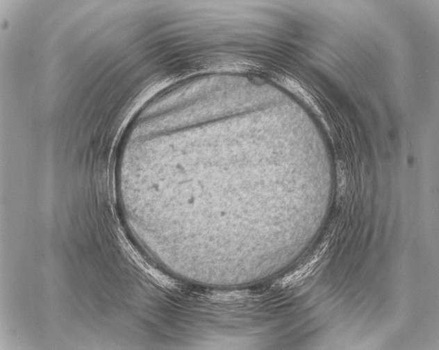 X0000058780843200510211746