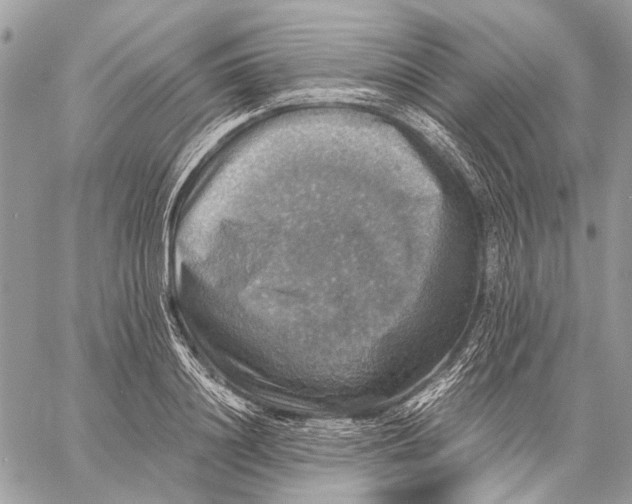 X0000058780844200510211746