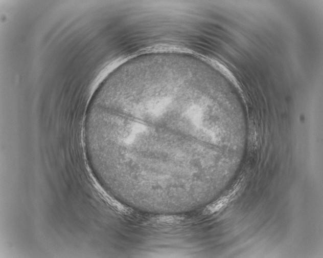 X0000058780847200510211746