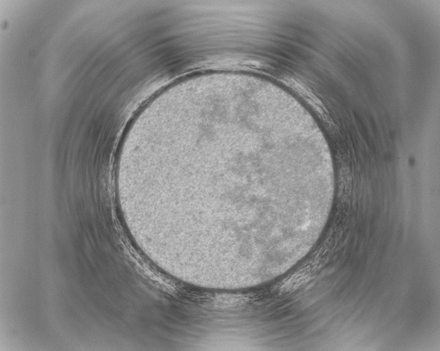 X0000058780848200510211746