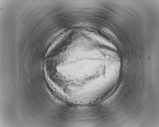 X0000058780849200510211746