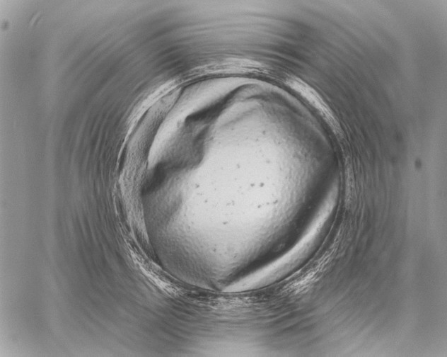 X0000058780850200510211746