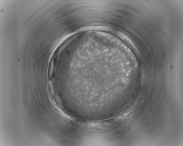 X0000058780852200510211746