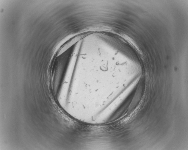 X0000058780854200510211746