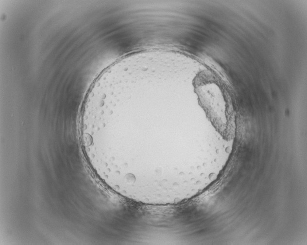 X0000058780856200510211746