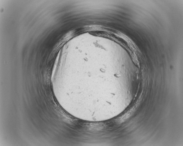 X0000058780857200510211746