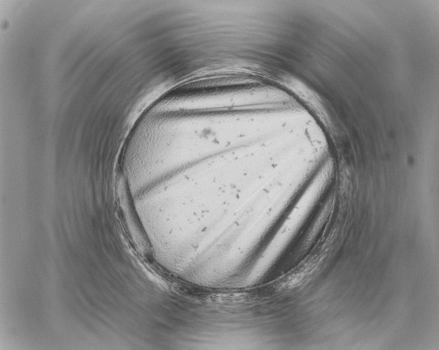 X0000058780858200510211746