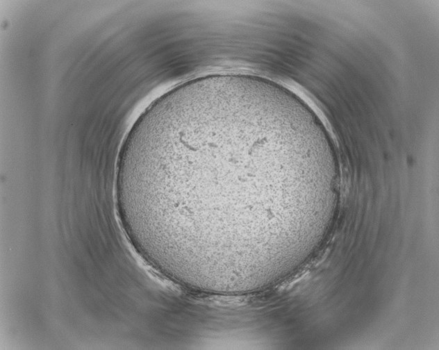 X0000058780861200510211746