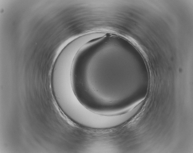 X0000058780862200510211746