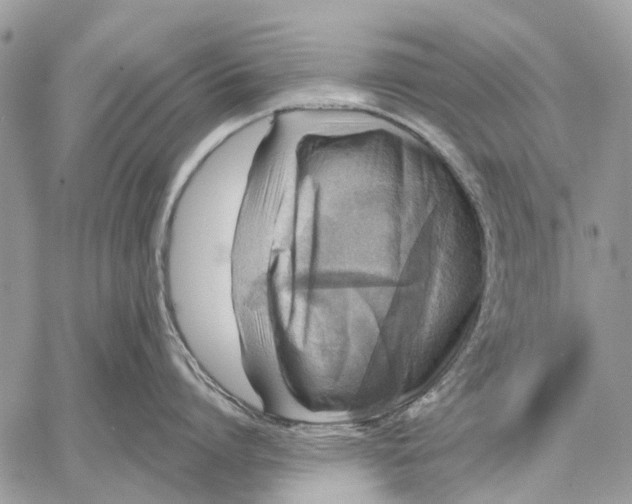 X0000058780864200510211746