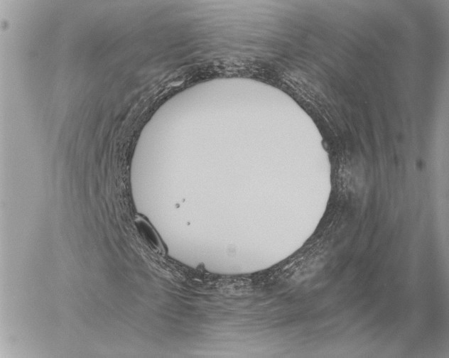 X0000058780865200510211745