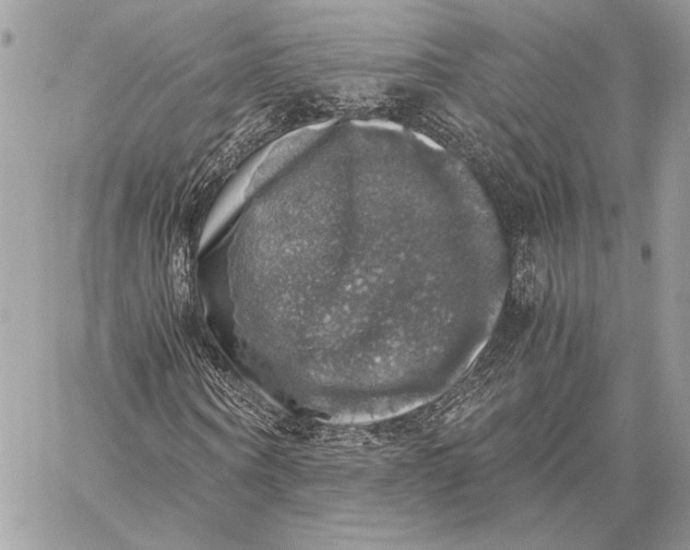 X0000058780866200510211745