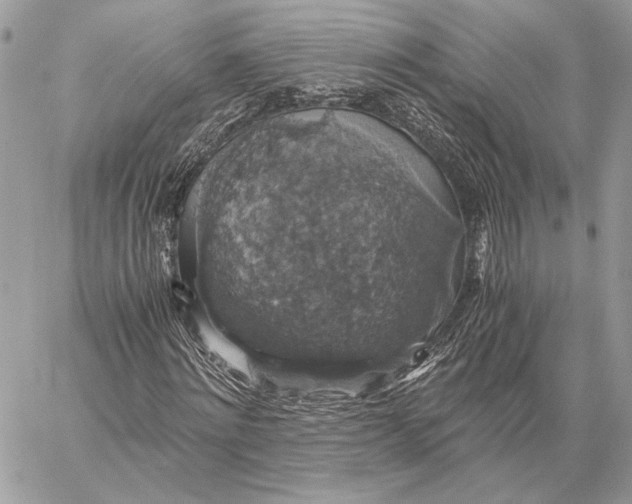 X0000058780868200510211745