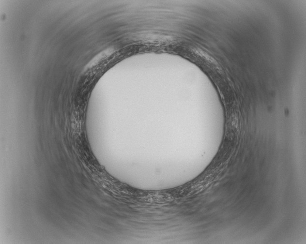 X0000058780869200510211745