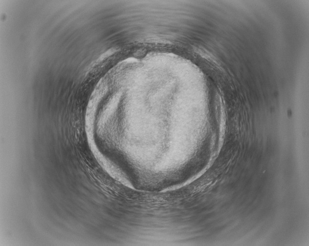 X0000058780870200510211745