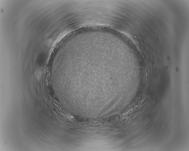 X0000058780871200510211745