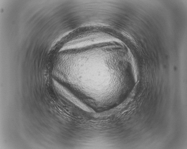 X0000058780872200510211745