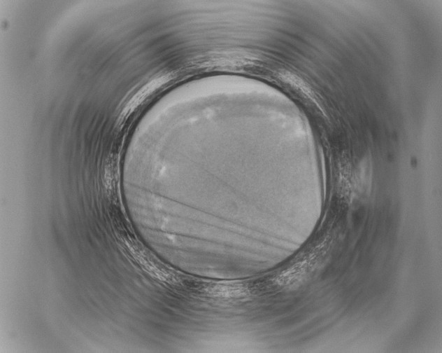 X0000058780874200510211745