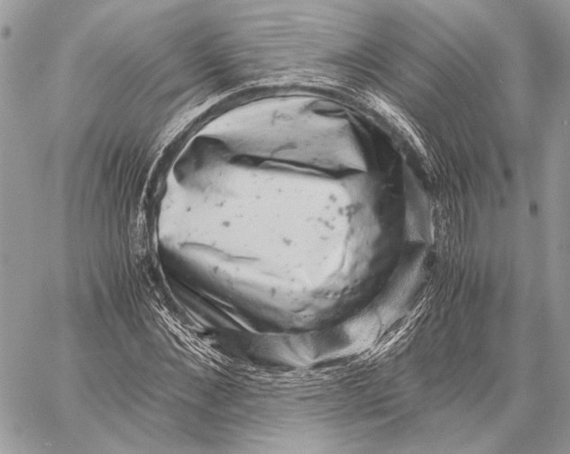 X0000058780876200510211745