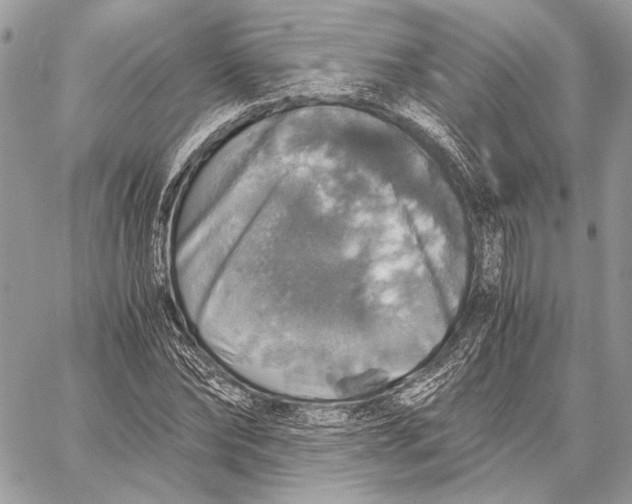 X0000058780878200510211745