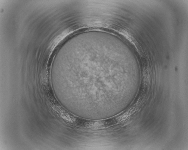 X0000058780879200510211745