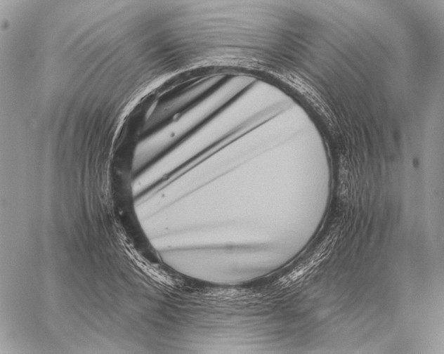 X0000058780880200510211745