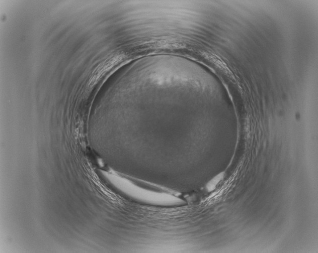 X0000058780881200510211745