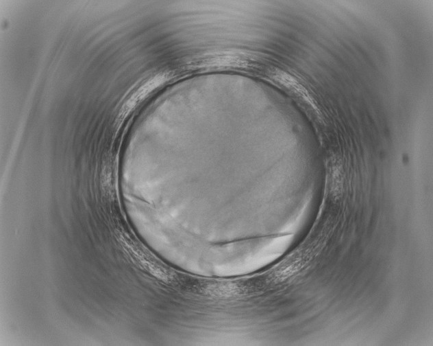 X0000058780882200510211745