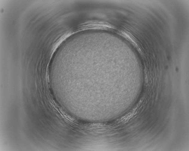 X0000058780883200510211745