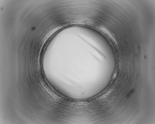 X0000058780884200510211745