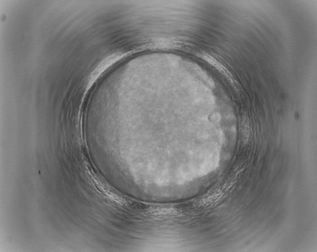 X0000058780886200510211745