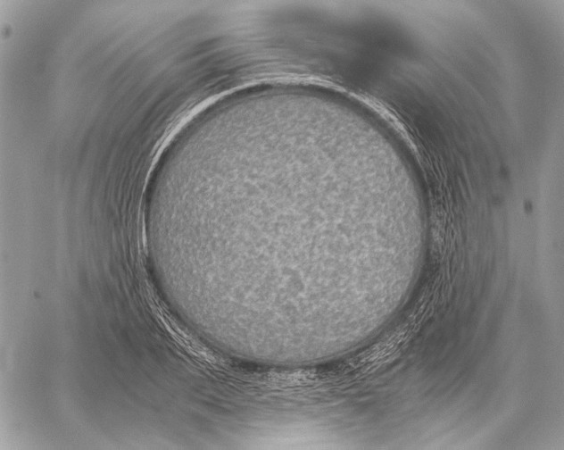 X0000058780887200510211745