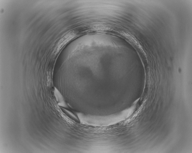 X0000058780889200510211745