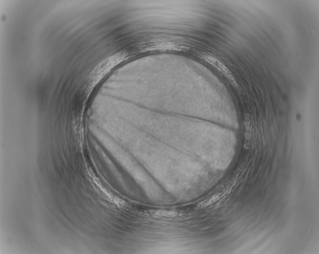 X0000058780890200510211745