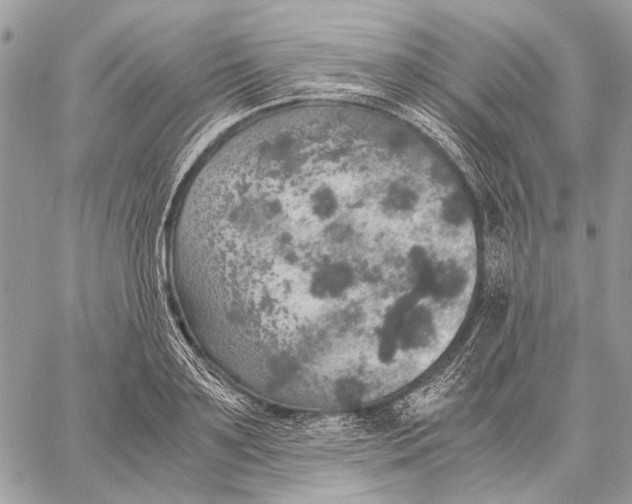 X0000058780891200510211745