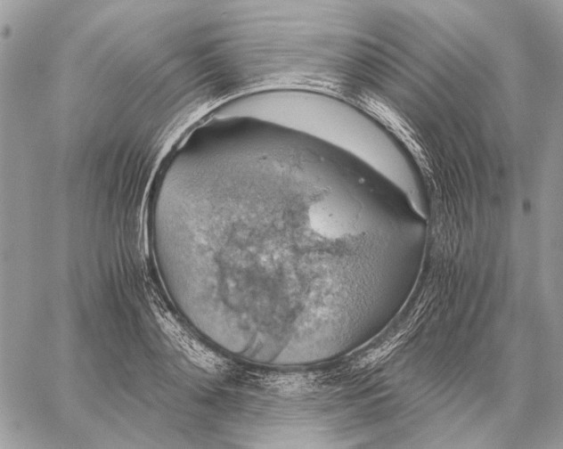 X0000058780892200510211745