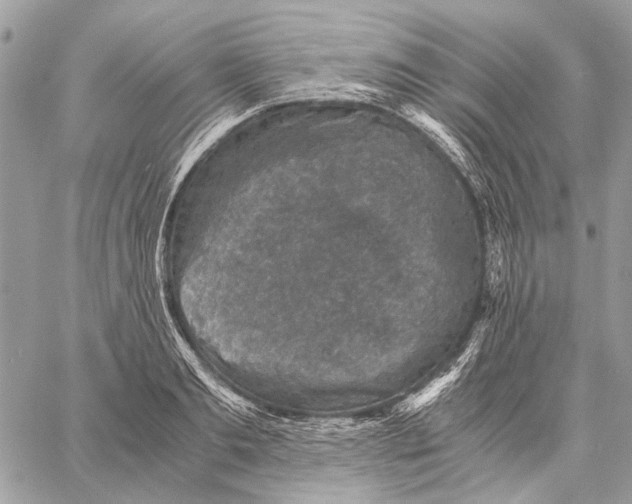 X0000058780893200510211745