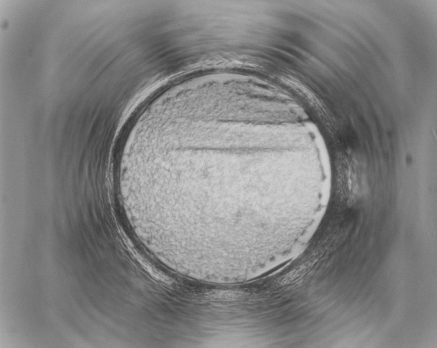 X0000058780894200510211745