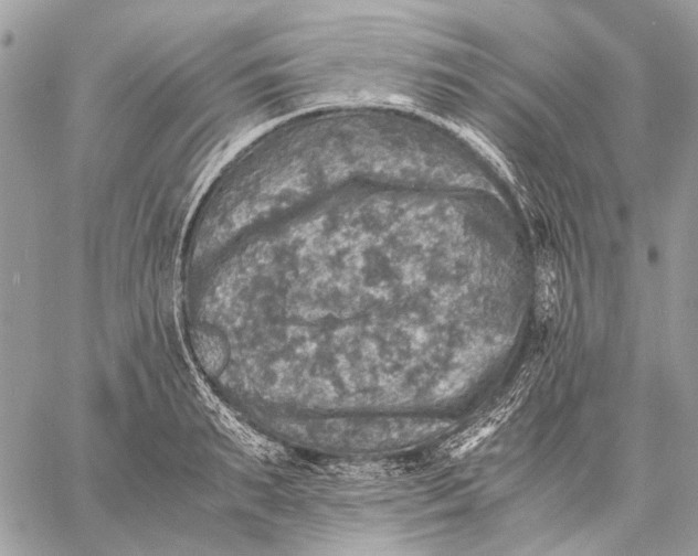 X0000058780895200510211745