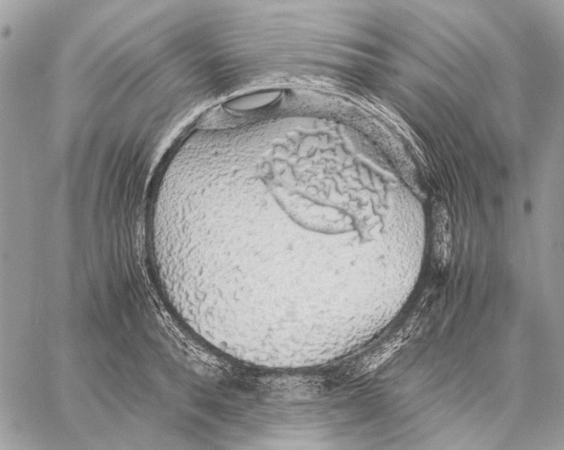 X0000058780896200510211745