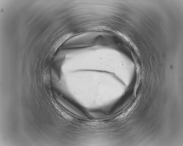 X0000058780897200510211745