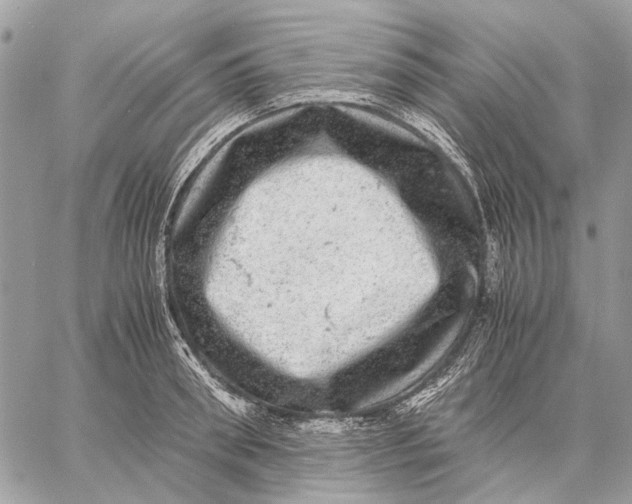 X0000058780898200510211745