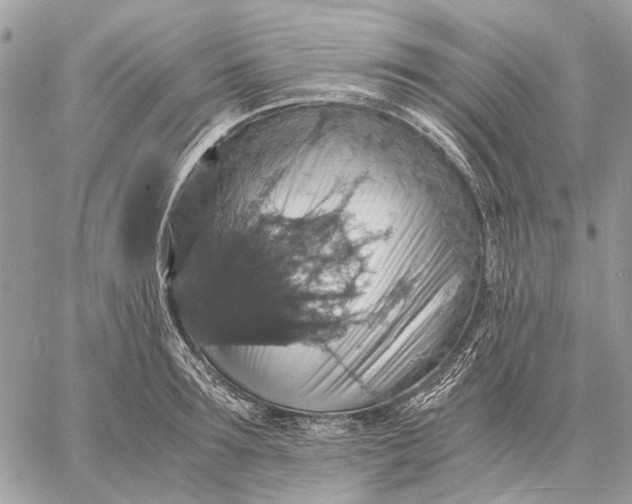 X0000058780899200510211745