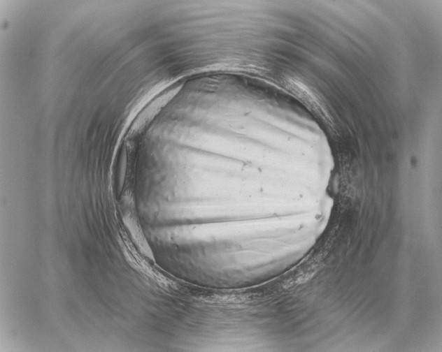 X0000058780900200510211745