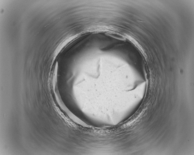 X0000058780901200510211745